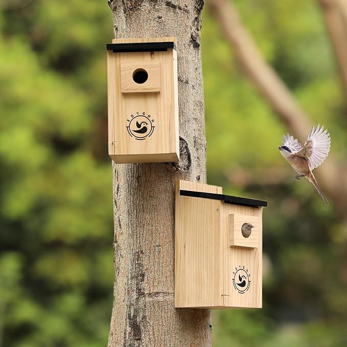 2 Pack Bird Houses for Outside,Bird House kit,Hummingbird House,Blue Bird House Outdoor Wren Swallow Finch-Ruum Studio Home