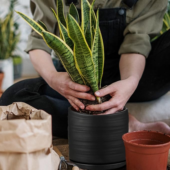 6 Inch Plant Pots, Ceramic Planter Pot with Drainage Hole & Saucer, Indoor/Outdoor Cylinder Round Planter Pot, Matte Black-Ruum Studio Home