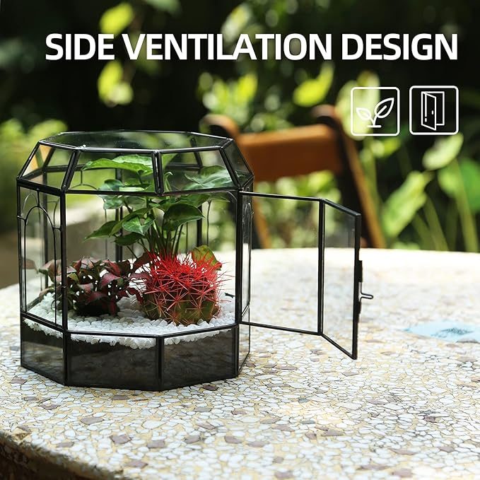Large Glass Terrarium Handmade, Centerpiece Display Box Gift Planter Containers Indoor Terrariums House for Succulent Cacti Air Plants Miniature Fairy Garden-Ruum Studio Home
