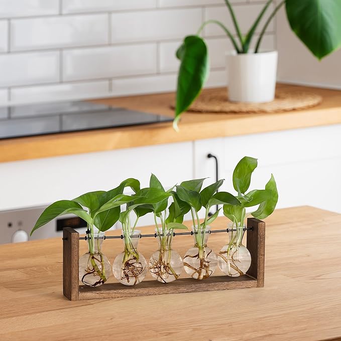 YIBOT Plants Propagation Stations,Plant Terrarium with Wooden Stand,Wall Hanging Glass Planter Plant Propagation Vase for Indoor Office Home Garden Decor Plant Lover Gifts for Women-5 Bulbs-Ruum Studio Home