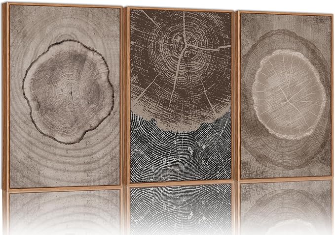 SIGNINART Beige Tree Ring Framed Canvas Wall Art Set, Abstract Black and White Rustic Wood Wall Decor, Neutral Wood Stump Artwork, Modern Art Prints for Bedroom Living Room Office 16"x24"x3-Ruum Studio Home