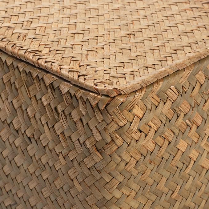 Wicker Basket with Lid, Seagrass Storage Basket, Woven Baskets for Storage, Decorative Storage Baskets for Shelf Organizing, Natural-Ruum Studio Home