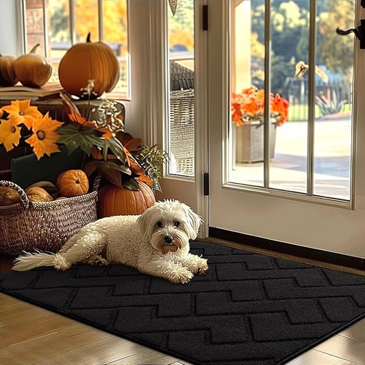 hicorfe Indoor Door Mat,Non Slip Door Mats,32"x48" Front Back Door Mat Rubber Backing,Absorbent Resist Dirt Entrance Inside Floor Mats for Entryway Washable Low-Profile(Black)-Ruum Studio Home