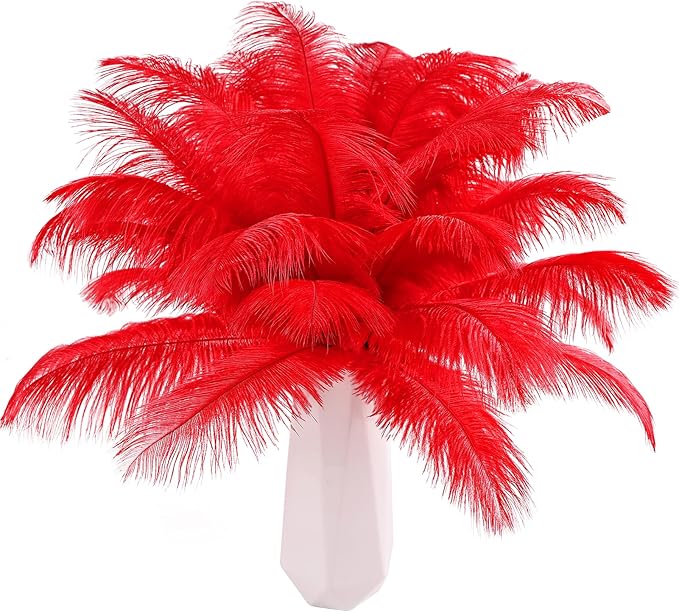 THARAHT Red Ostrich Feathers 12pcs Natural Bulk 10-12Inch 25cm-30cm for Crafts Wedding Party Centerpieces Halloween and Home Decoration Feathers-Ruum Studio Home