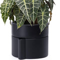 Phoenix Vine 8 Inch Self-Watering Planter Pot with Terracotta Insert, Deep Water Reservoir, and Ceramic-Alike BPA-Free Plastic Planter Pot for Plant, Modern Planter for Houseplants, Black, 53-A-T-2-Ruum Studio Home