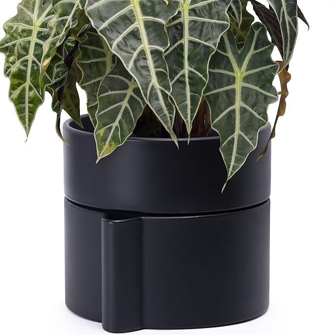 Phoenix Vine 8 Inch Self-Watering Planter Pot with Terracotta Insert, Deep Water Reservoir, and Ceramic-Alike BPA-Free Plastic Planter Pot for Plant, Modern Planter for Houseplants, Black, 53-A-T-2-Ruum Studio Home