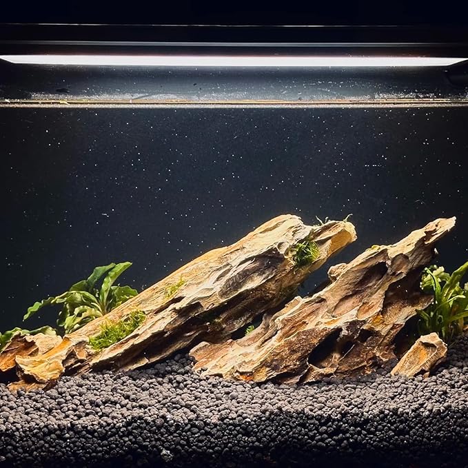 Dragon Rocks Aquarium Rock aquascaping Natural Stone Rocks Fish Tank Decor Rocks for Aquariums Landscaping Model Tank Decoration Aquarium Miniature -20Lb (2-8 inch)-Ruum Studio Home