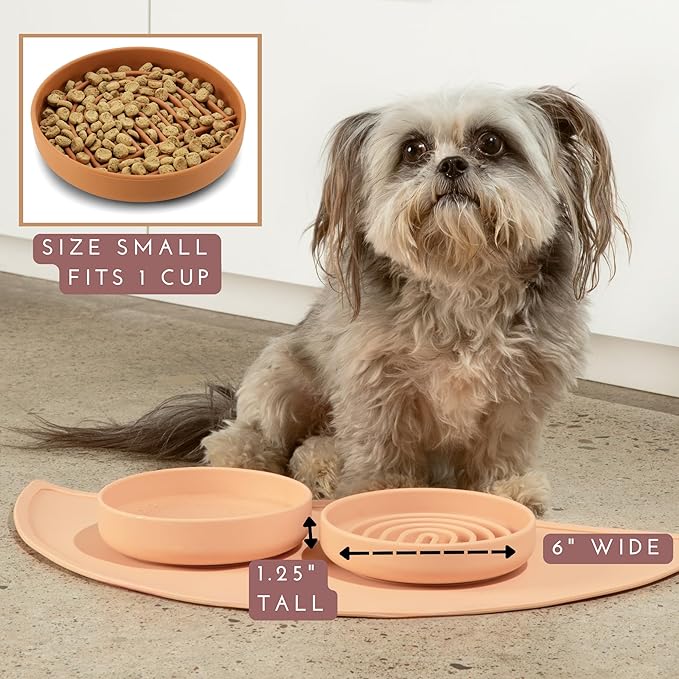 The Slowdown Bowl Silicone Slow Feeder for Cats & Dogs, Slow Eating Mealtime Solution with Modern Lick Mat Design, Reduces Gulping, Fits 1 Cup 6” Across x 1.25” Tall, Small-Sage-Ruum Studio Home