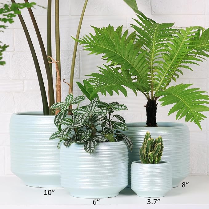 10 Inch Ceramic Plant Pot with Drainage – Large Flower Pot for Indoor Outdoor Plants, Modern Decorative Planter for Patio, Balcony, Garden, or Home Decor-Ruum Studio Home