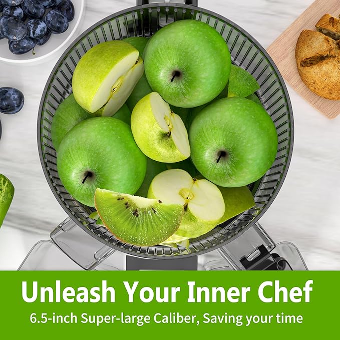 Cold Press Juicer – 6.5" Extra Large Feed Chute Fit Hands-Free Electric Masticating Juicer Machine, 350W Slow Masticating Juicer Machine for Whole Fruit and Vegetables – Easy Cleanup & Assembly-Ruum Studio Home