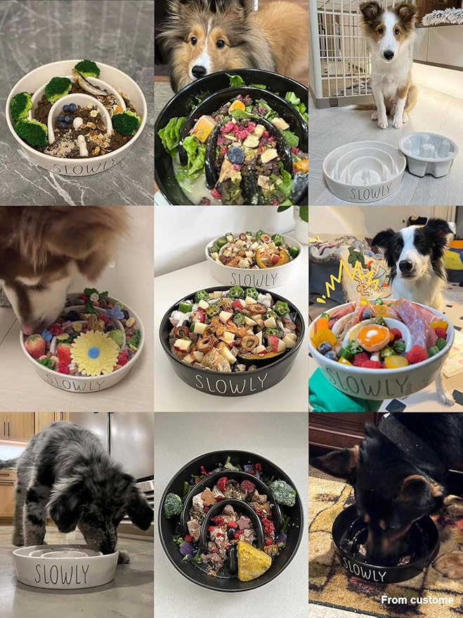 Ceramic Slow Feeder Dog Bowls Small Breed, 0.6 Cups Dog Food Dish for Fast Eaters, Puzzle Bowl for Small Dogs and Cats,Black-Ruum Studio Home