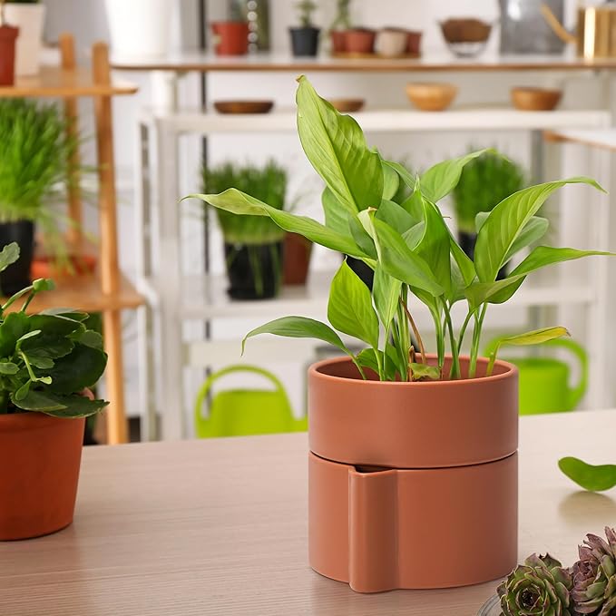 Phoenix Vine 6.5 Inch Self-Watering Planter Pot with Terracotta Insert, Deep Water Reservoir, and Ceramic-Alike BPA-Free Plastic Pot for Plant, Modern Planter for Houseplants, Terracotta, 53-A-S-3-Ruum Studio Home