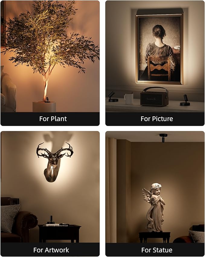 EZVALO Wireless LED Spotlights Indoor, 5500mAh Rechargeable Battery Powered Plants Spotlights Indoor, Dimmable & Timer, 3 CCT Small Up Lights with Remote, Accent Uplighting for Artwork,Tree(Black)-Ruum Studio Home