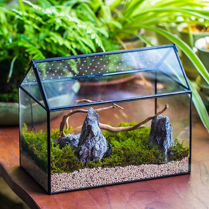 NCYP House Shape Glass Terrarium with Acrylic Lid - 10.2x5.9x8.2 Inches Large Geometric Box for Snails, Ferns, Succulents, Air Plants, Indoor Tabletop Decor, Handmade (Terrarium Only)-Ruum Studio Home