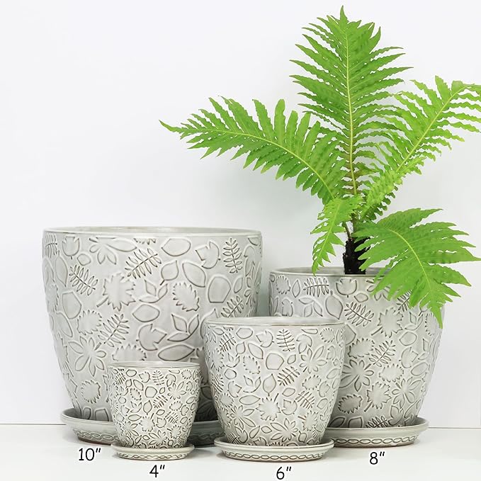 6 Inch Ceramic Planter Pots with Drainage Hole and Saucers for Indoor Plants, Garden Pots for Succulent, Orchid, and Flower - Set of 2-Ruum Studio Home