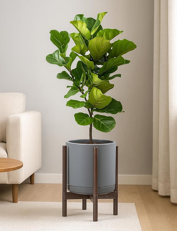D'vine Dev Ceramic Planter with Walnut Color Stand - 12 Inch Modern Round Flower Pot with Wood Planter Holder, Grey, 55-B-W-3-Ruum Studio Home