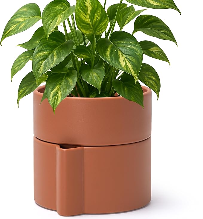 Phoenix Vine 6.5 Inch Self-Watering Planter Pot with Terracotta Insert, Deep Water Reservoir, and Ceramic-Alike BPA-Free Plastic Pot for Plant, Modern Planter for Houseplants, Terracotta, 53-A-S-3-Ruum Studio Home