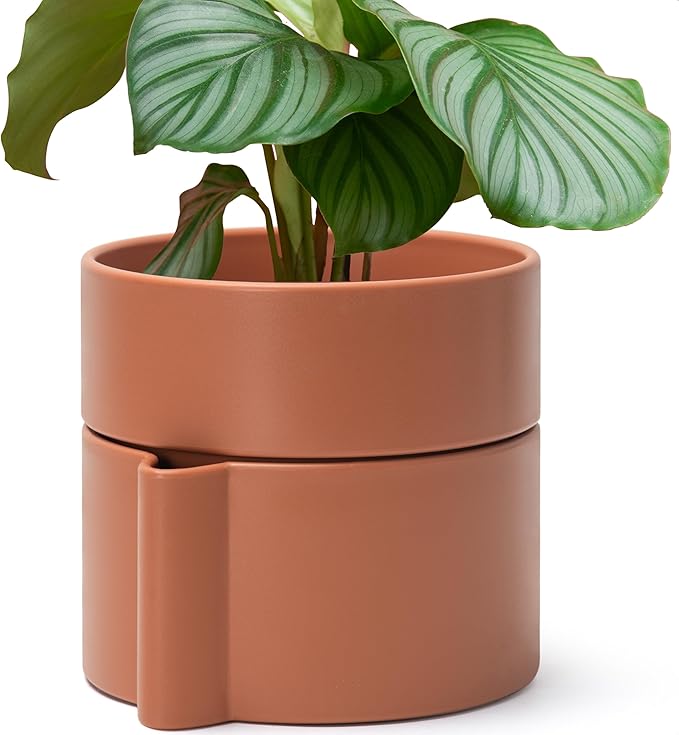 8 Inch Self-Watering Planter Pot with Terracotta Insert, Deep Water Reservoir, and Ceramic-Alike BPA-Free Plastic Planter Pot for Plant, Modern Planter for Houseplants, Terracotta, 53-A-T-3-Ruum Studio Home