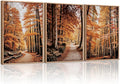 HLNIUC Autumn Forest Framed Canvas Wall Art,Fall Nature Pictures Wall Decor Set of 3(16”x24”) Large Maple Trees Trail Scenery Wall Painting,Modern Fall Landscape Art Print for Living Room,Bedroom-Ruum Studio Home