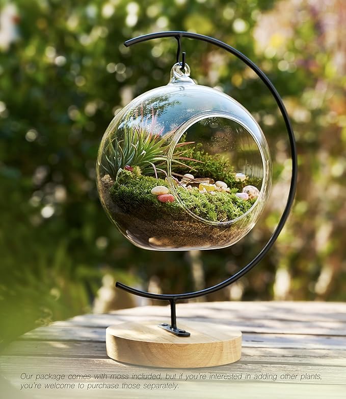 15-Piece Terrarium Kit with Live Moss – DIY Glass Globe Set with Tools, Soil, Stones & Spray Bottle – Indoor Mini Garden Gift for Plant Lovers, Home Decor & Zen Craft-Ruum Studio Home