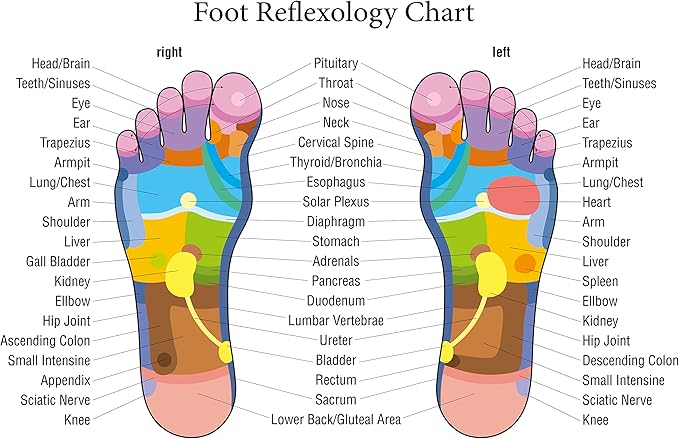 TOFL - Wooden Foot Massager - Natural Acupressure Reflexology Massage Roller for Relaxation and Stress Relief-Ruum Studio Home