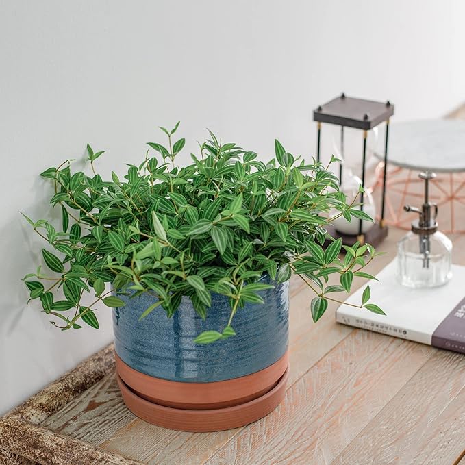 8 Inch Pots for Plants, Ceramic Planter Pot with Drainage Hole & Saucer, Indoor/Outdoor Cylinder Round Planter Pot, Blue & Terracotta-Ruum Studio Home