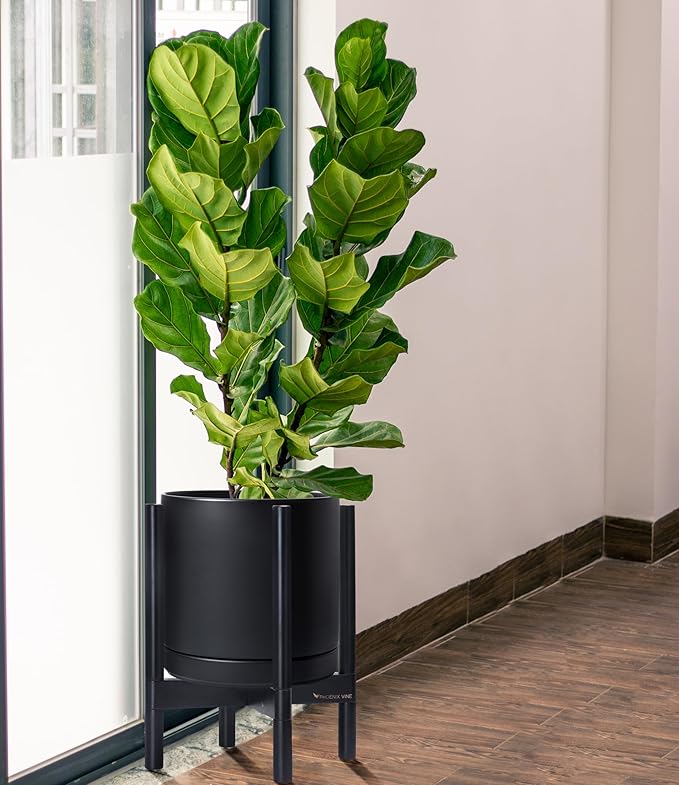 D'vine Dev Ceramic Planter with Ebony Stand - 12 Inch Modern Round Flower Pot with Wood Planter Holder, Black, 55-B-H-2-Ruum Studio Home
