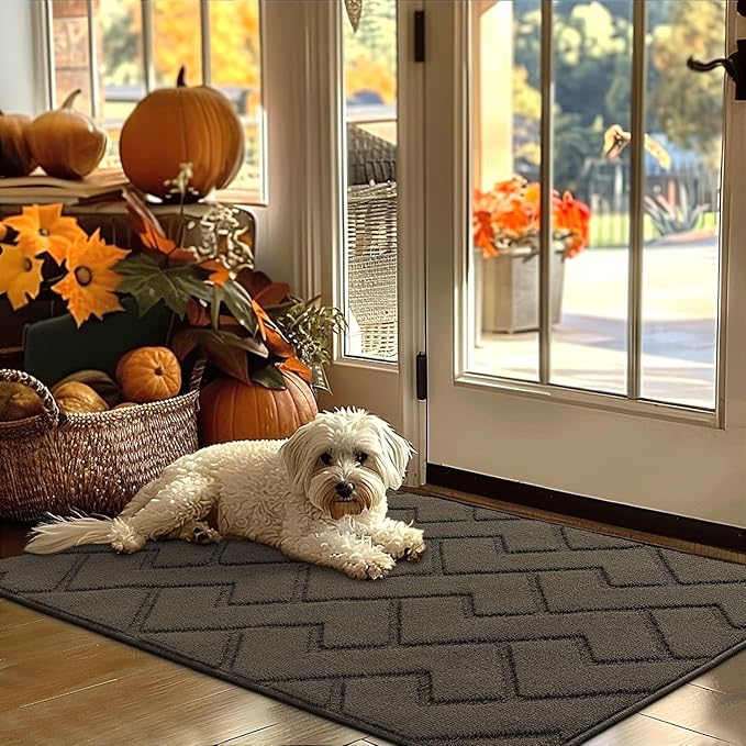 hicorfe Indoor Door Mat,Non Slip Door Mats,32"x48" Front Back Door Mat Rubber Backing,Absorbent Resist Dirt Entrance Inside Floor Mats for Entryway Washable Low-Profile(Latte)-Ruum Studio Home
