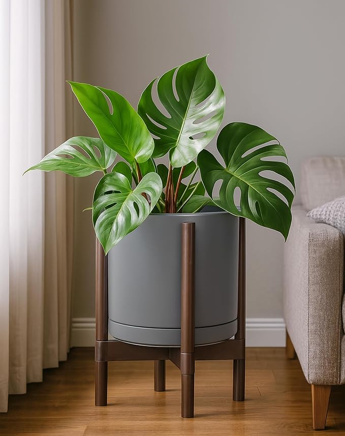 D'vine Dev Ceramic Planter with Walnut Color Stand - 12 Inch Modern Round Flower Pot with Wood Planter Holder, Grey, 55-B-W-3-Ruum Studio Home