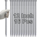 VVOKGO 12 Inch Rebar Stakes Metal Asphalt Anchoring Spikes Ground (16pcs), 1/2 Inch Diameter Galvanized Landscape Anchors Heavy Duty for Speed Bump, Handicap Threshold Ramps, Parking Limits Curb, Tarp-Ruum Studio Home