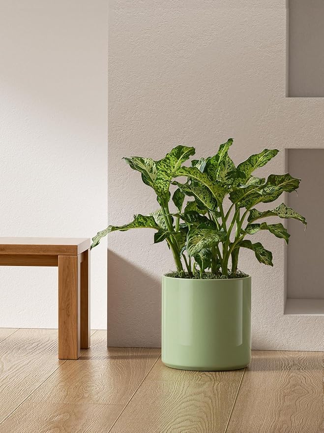 LE TAUCI 12 Inch Pots for Plants, Ceramic Large Plant Pot for Indoor Plants, Mid-Century Modern Planter Pot with Drainage Hole, Reactive Glaze Green-Ruum Studio Home