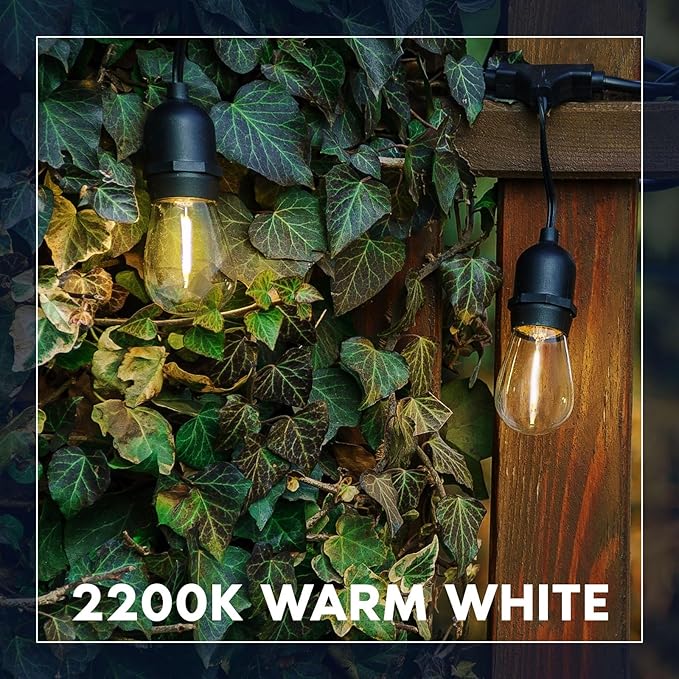 LUXRITE 24FT LED Outdoor String Lights, Commercial Grade Waterproof, 12 Edison S14 Shatterproof Bulbs, IP65, Decorative Hanging for Patio, Backyard, Garden, Cafe, Balcony-Ruum Studio Home