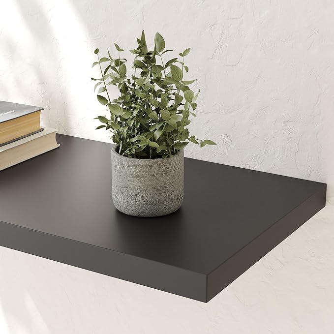 Wall Shelf Set of 2, Black Floating Shelves 24 in W x 10 in D x 1 in H, Wooden Floating Wall Shelf with Invisible Brackets for Living Room/Bedroom/Bathroom/Kitchen Storage and Decor-Ruum Studio Home