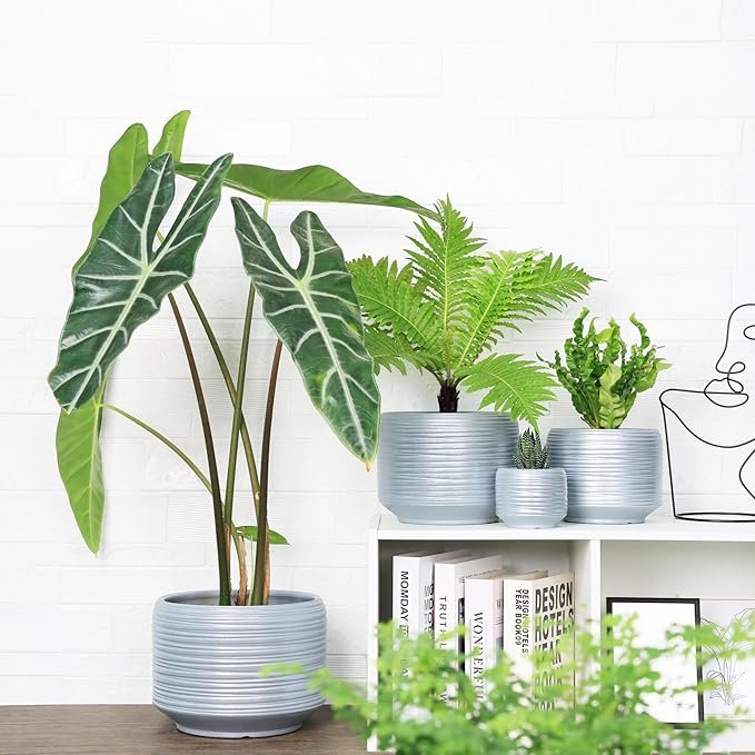 10 Inch Ceramic Plant Pot with Drainage – Large Flower Pot for Indoor Outdoor Plants, Modern Decorative Planter for Patio, Balcony, Garden, or Home Decor-Ruum Studio Home