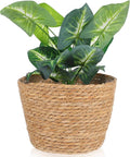 Woven Straw Flower Pot Seagrass Planters Basket Garden Plant Pot Containers Wicker Rattan Vase Sundries Organizer Storage Bins for Indoor Outdoor Plants-Ruum Studio Home