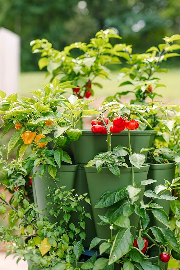 Greenstalk Patented Large 5 Tier Vertical Garden Planter with Patented Internal Watering System Great for Growing a Variety of Strawberries, Vegetables, Herbs, & Flowers (Evergreen)-Ruum Studio Home