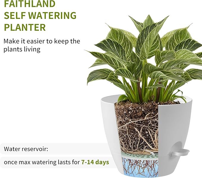 FaithLand 3-Pack Planter Pots, 10 9 8 Inch Self Watering Flower Pots for Indoor Outdoor Garden Plants, White-Ruum Studio Home