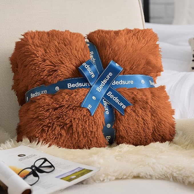 Bedsure GentleSoft Fluffy Burnt Orange Blankets Queen Size for Bed, Cozy Thick Sherpa Faux Fur Fleece Fuzzy Plush Winter Warm Soft Full Queen Blankets, Bedroom Decor Orange Gifts for Women Men, 90x90-Ruum Studio Home
