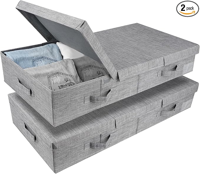 DAYARD Underbed Storage Container Bins with Lids, Under Bed Storage Organizer with Sturdy Handles Sidewalls Bottom, Foldable Clothes Bag (Set of 2) Large, Grey-Ruum Studio Home