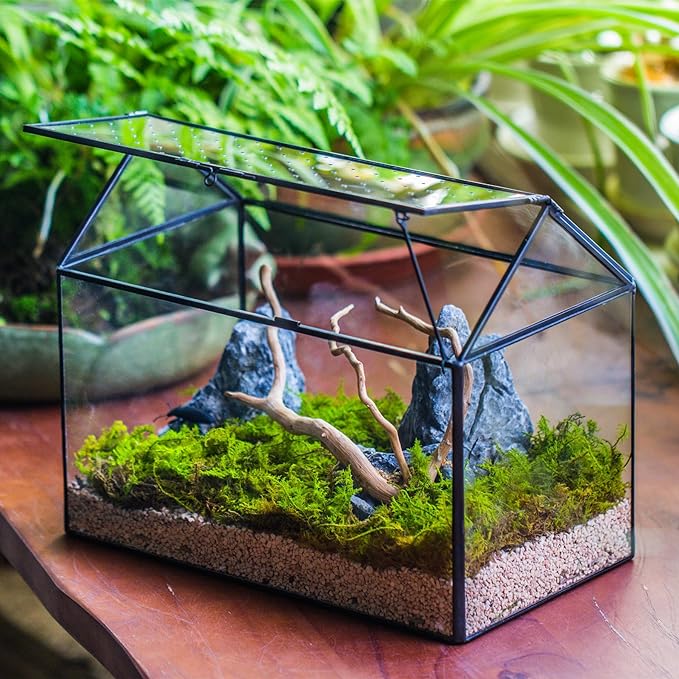 NCYP House Shape Glass Terrarium with Acrylic Lid - 10.2x5.9x8.2 Inches Large Geometric Box for Snails, Ferns, Succulents, Air Plants, Indoor Tabletop Decor, Handmade (Terrarium Only)-Ruum Studio Home