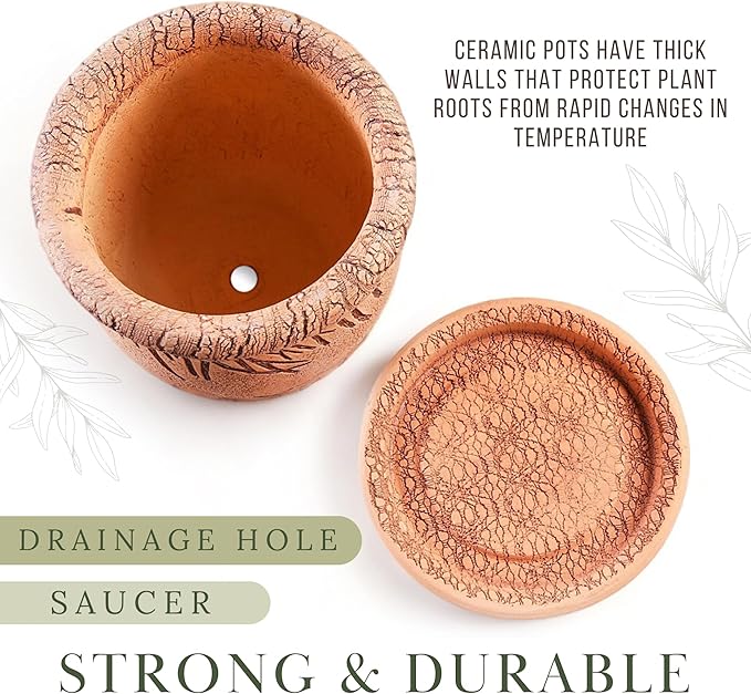 Ceramic Pot with Drainage Hole and Saucer, Plant Pots, Modern Decorative Planters for House Plants Indoor Flowers Plants, Cute Flower Pot - Gifts (Cats (3 L))-Ruum Studio Home