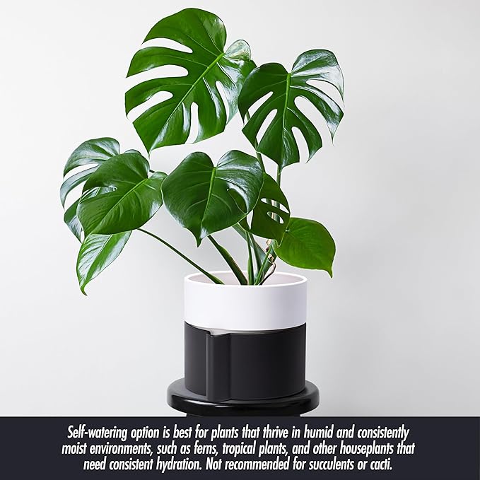 8 Inch Self-Watering Planter Pot with Terracotta Insert, Deep Water Reservoir, and Ceramic-Alike BPA-Free Plastic Planter Pot for Plant, Modern Planter for Houseplants, Black/White, 53-C-T-7-Ruum Studio Home