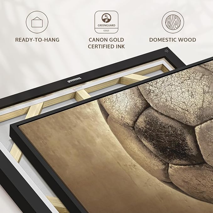 Elephant Stock Worn Soccer Ball Wall Art - Horizontal Framed Canvas - 1-Piece Living Room Wall Decor - Photography sports Canvas Print - Brown and Gray Decor for Wall - 43" X 29"-Ruum Studio Home