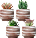 Mini Succulent Planter Set – 3.7 Inch Ceramic Pots with Drainage for Indoor Plants, Small Decorative Flower Pots for Cactus and House Plants, Set of 4-Ruum Studio Home
