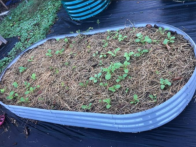 2 Pack 8x4x1FT Galvanized Raised Garden Bed Kit Oval Metal Ground Planter Box Outdoor Bottomless Planter Raised Beds for Vegetables Flowers Herbs Fruits, Gray-Ruum Studio Home