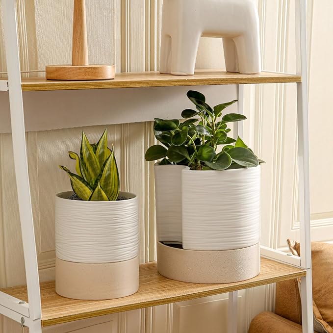 Nihow Self Watering Plant Pot: 8 Inch Ceramic Planter with Drainage Hole & Water Storage Plus for Indoor & Outdoor Plants - Cylinder Round Flower Pot for Succulent/Herbs/Violets - White & Brown-Ruum Studio Home