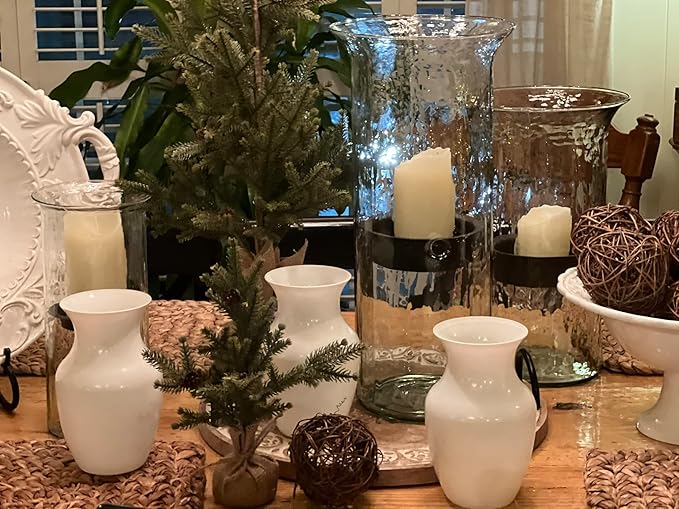 Floral Supply Online - 8" White Rose Vase and Flower Guide Booklet - Decorative Glass Flower Vase for Floral Arrangements, Weddings, Home Decor or Office.-Ruum Studio Home