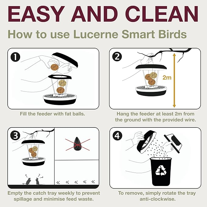 SWISSINNO No Mess Bird Feeder Lucerne Smart Birds for Fat Balls - Feed Birds, not mice & Rats! Robust & Reliable for Hanging - Light Grey-Ruum Studio Home