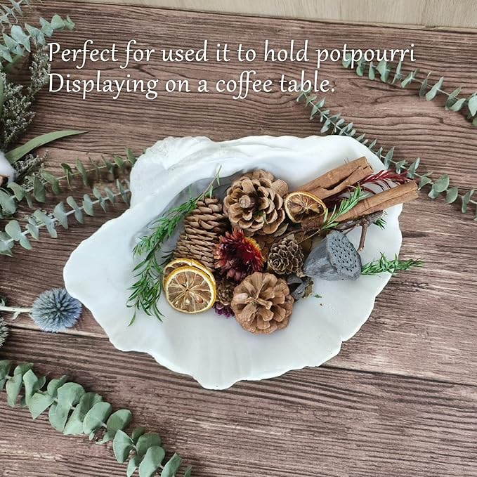 Accessoryway Large White Sea Shells Decorative Bowl Resin Clam Shell Bowl Beach Decorations for Home Coastal Beach Decor Decoration Storage Bowls & Home Office Nautical Themed Party Decor -10.2"-1PC-Ruum Studio Home