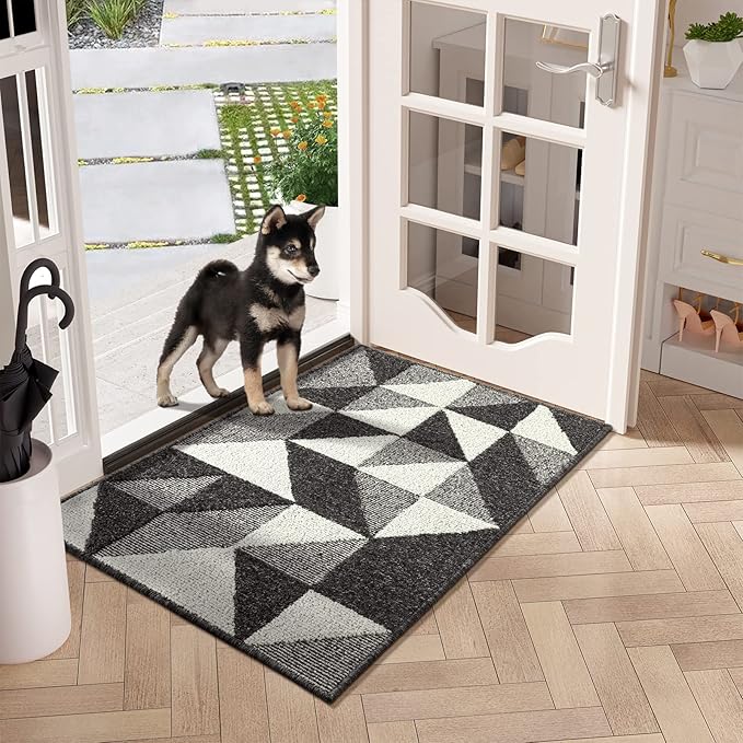 hicorfe Indoor Doormat,24"x35" Front Back Door Mat Rubber Backing Non Slip Door Mats,Low-Profile Absorbent Resist Dirt Entryway Doormat Inside Floor Mats for Entrance-Ruum Studio Home